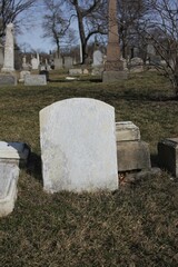 grave in cemetery