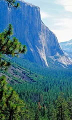 Foto op Canvas  Yosemite National Park, California © Julius Fekete