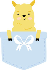 Lama Sitting Inside Pocket