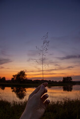 A hand holding blade of grass against beautiful colorful sunset sky reflected in river water