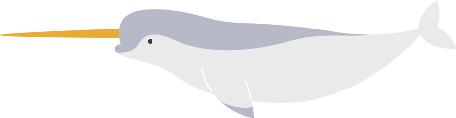 Narwhal Whale Animal © Mykola Syvak