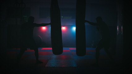Silhouettes of athletes and punching bags