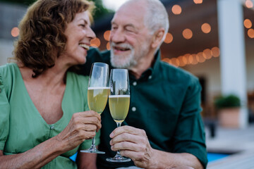 Senior man with his wife celebrating birthday and toasting with wine near backyard pool.