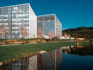 Obraz premium Japanese garden in Vilnius in spring. View of the business center Park Town