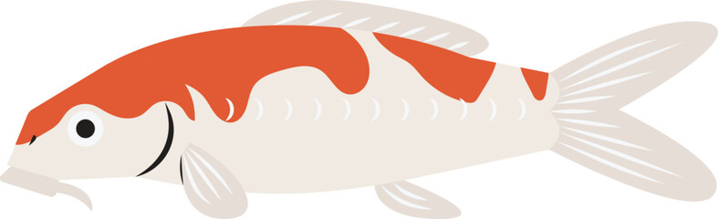 Koi fish illustration.