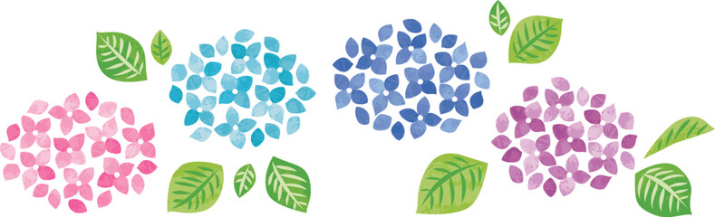 6月　梅雨　紫陽花のイラスト