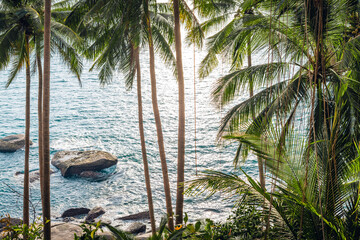 Tropical island,coconut and palm trees by the sea on the island