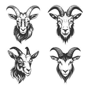 Goat head logo Vector Illustration