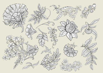 Fantasy flowers in retro, vintage, jacobean embroidery style. Clip art, set of elements for design Vector illustration.
