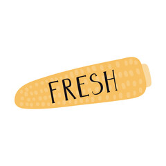 Fresh handwritten typography quote, lettering, corncob hand drawn illustration. Flat style design, isolated vector. Summer, autumn print element, sticker, badge, farming, harvest