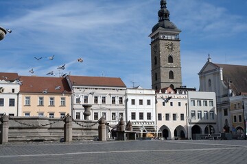 Naklejka premium pidgeons in the square of Premysl Otakar II. in city of Ceske Budejovice Budweis czech republic, center of Europe