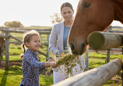 Hes a hungry horse. an adorable little girl feeding a horse on her farm while her mother looks on.