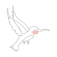 Single line drawing of a hummingbird. Vector illustration for bird animal design.