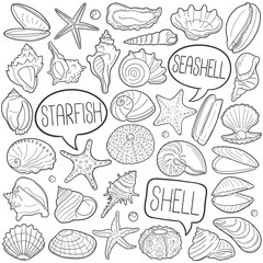 Seashell Doodle Icons. Hand Made Line Art. Beach Animal Shell Clipart Logotype Symbol Design.