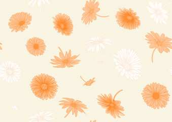 Calendula medicinal herbs and flowers seamless pattern, background. Vector illustration.