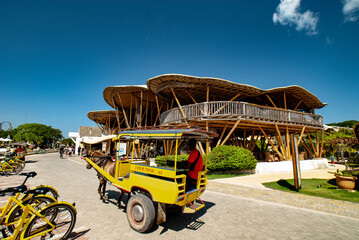 Cidomo Horse Carriage, a horse and cart on Gili Trawangan, Lombok, Bali, Indonesia