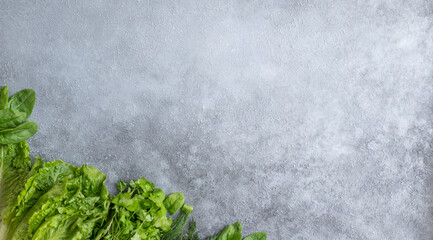 Lettuce and greens on a gray background. The concept of vegetarian food, healthy lifestyle and nutrition