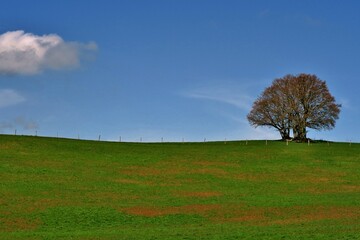 Magnifique nature.