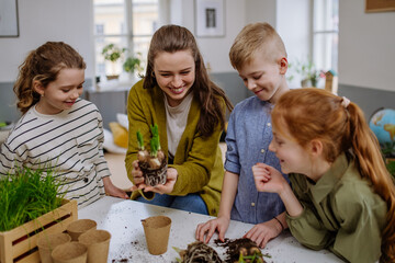 Young teacher learning pupils how to take care about plants.