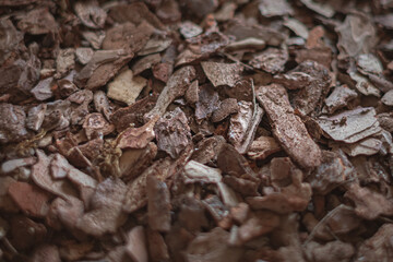 Substrate for orchids. Mulch for decoration and gardening. Forest carpet. Background from wood chips. Pine bark. Pine wood chips for orchids and the garden.