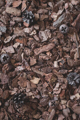 Substrate for orchids. Mulch for decoration and gardening. Forest carpet. Background from wood chips. Pine bark. Pine wood chips for orchids and the garden.