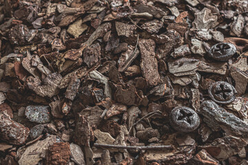 Substrate for orchids. Mulch for decoration and gardening. Forest carpet. Background from wood chips. Pine bark. Pine wood chips for orchids and the garden.