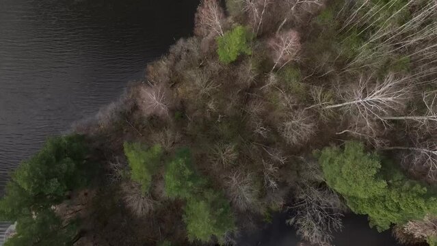 Overgrown river Abuls in spring, Latvia