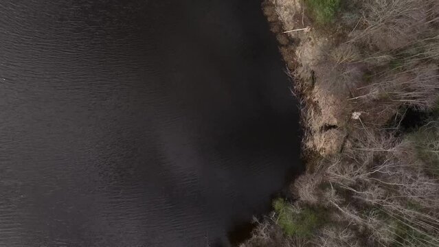Overgrown river Abuls in spring, Latvia