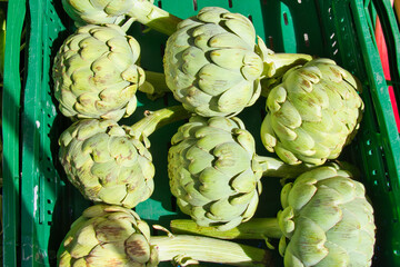 Fototapeta premium fresh artichokes in a fruit crate, healthy mediterranean vegetables
