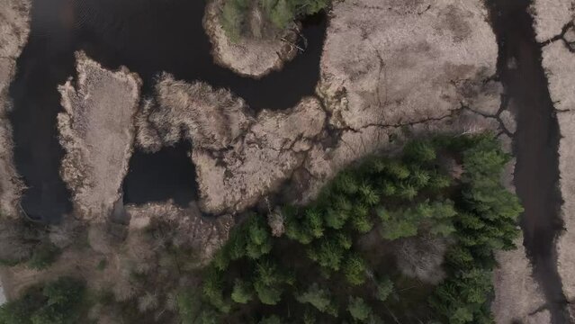 Overgrown river Abuls in spring, Latvia