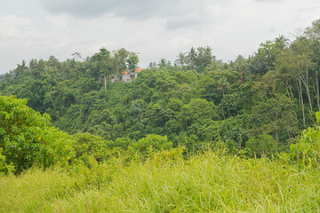 Fototapeta na wymiar Landscape with houses in jungle near Campuhan ridge walk, Bali, Indonesia, track on the hill with grass, large trees, jungle and rice fields.