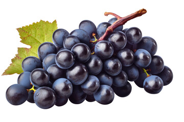 Fototapeta premium Blue grapes bunch isolated on white background. Generative AI