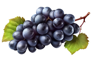 Fototapeta premium Blue grapes bunch isolated on white background. Generative AI