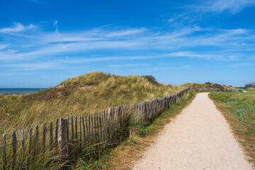 Hike through the dune reserve at Egmond aan Zee/NL on a sunny day