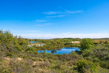Fototapeta premium Hike through the dune reserve at Egmond aan Zee/NL on a sunny day
