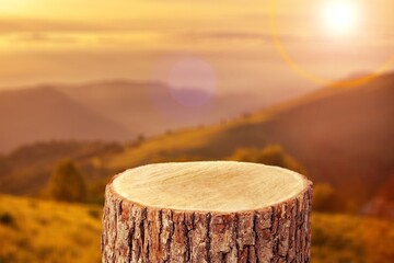 wood Podium tree trunk on nature background