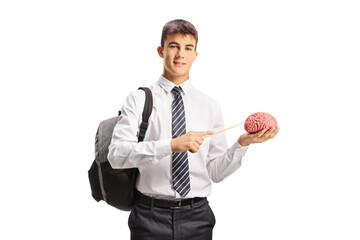 Male student holding a human brain and pointing with a stick