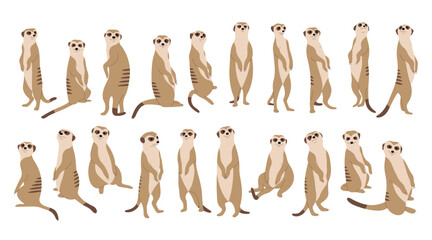 Meerkat Collection 1 cute on a white background, vector illustration