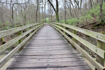 A view of the wooden bridge in the forest.