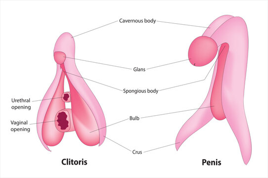 Француз порно видео