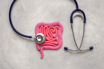 Colon bowel disease concept. Intestines organ shape made of plasticine with stethoscope