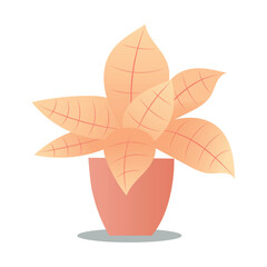 Indoor plants flat color illustration. Realistic houseplant in beige pot on metal stands. Exotic flowers with stems and leaves. Isolated botanical design element