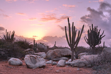 A beautiful sunrise from a hike in Aruba. there are cactus,  boulders, stones, and shrubs, with a colorful sky