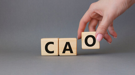 CAO - Chief Accounting Officer symbol. Wooden cubes with word CAO. Beautiful grey background. Businessman hand. Business and Chief Accounting Officer concept. Copy space.