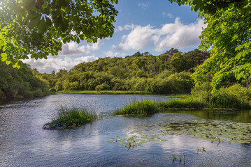 River in the village of Cong, Ireland