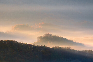 A beautiful photo of fog in a valley of the smoky mountains at sunrise. Small islands of trees stand out from the foggy fields