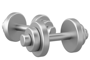 Dumbbell. Fitness equipment. 3D illustration.