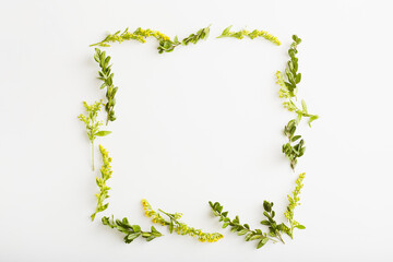 flowers square composition. yellow flowers and green leafs on white background.