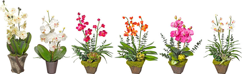 Artificial Flower Pot with transparent png background