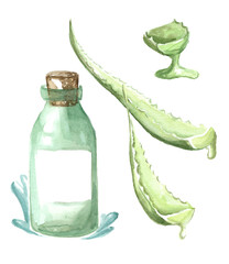 Fototapeta premium Moisturizing skin care lotion. Green glass jar with cork lid and water drops, with aloe vera plant and juice. Hand drawn watercolor isolated on white background.